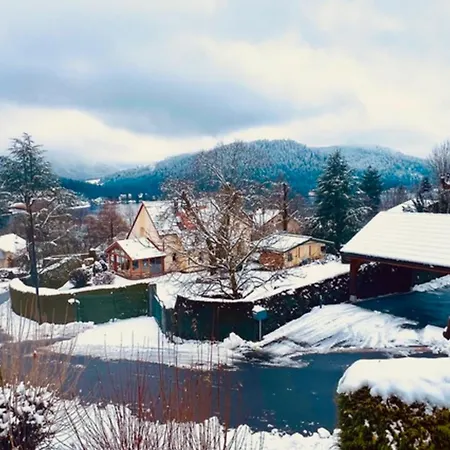 Cozy With View Gérardmer