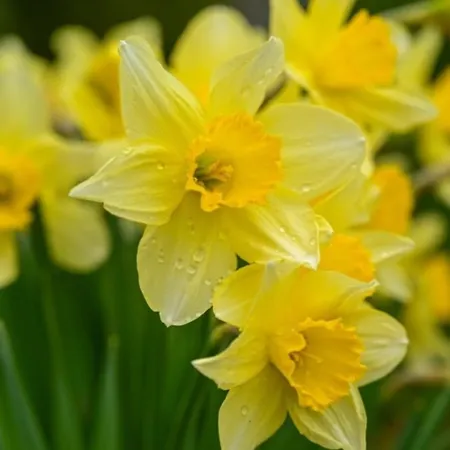 Apartment Cozy With View *