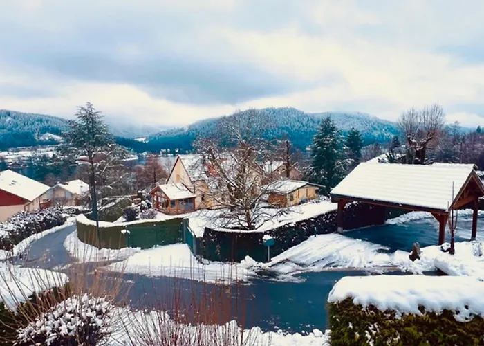 Cozy With View Gerardmer
