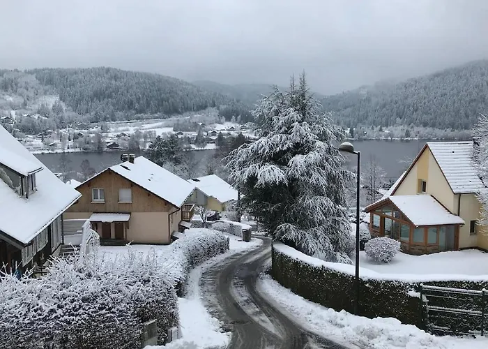 Apartment Cozy With View Gerardmer