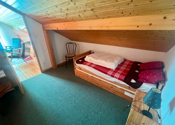 Cozy With View * Gerardmer