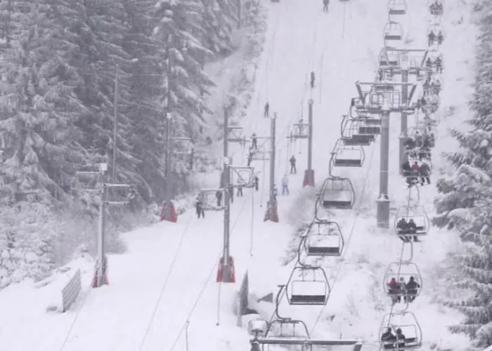 Cozy With View * Gérardmer