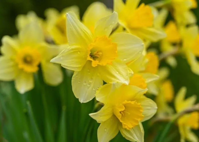 Apartment Cozy With View *
