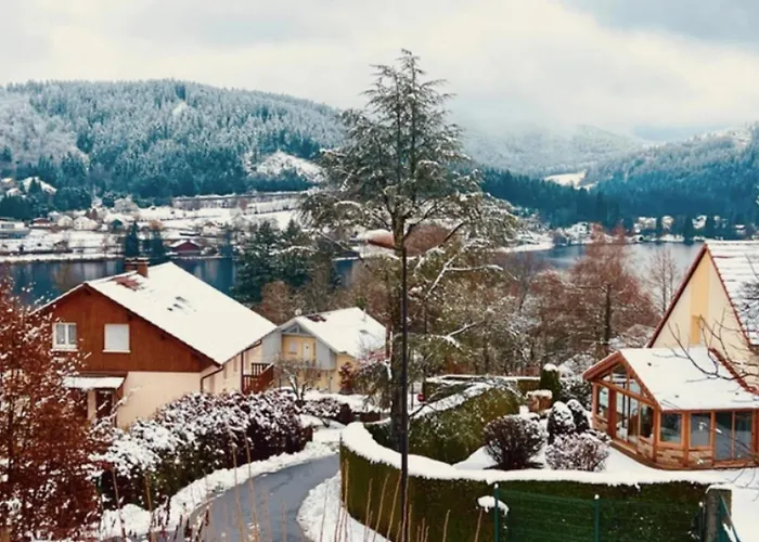 Cozy With View Apartment Gerardmer